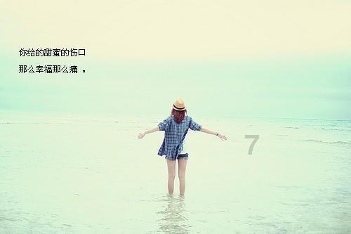 权力与纷争